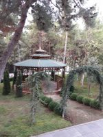 Ahşap Pergole