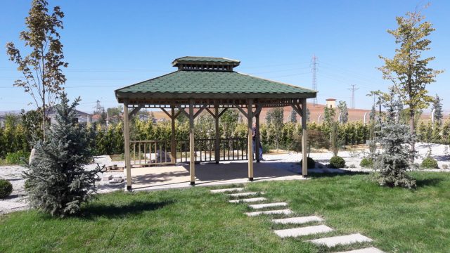 Ahşap Kamelya
