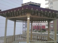 Ahşap Kamelya