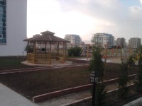 Ahşap Kamelya