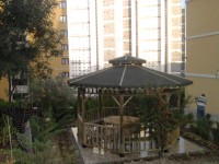 Sekizgen Masalı Kamelya (AGK 19)