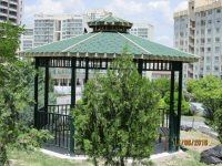 Ahşap Kamelya