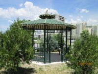 Ahşap Kamelya