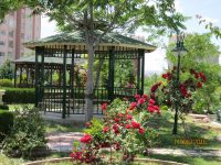 Ahşap Kamelya
