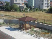 Ahşap Kamelya