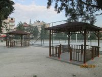 Ahşap Kamelya