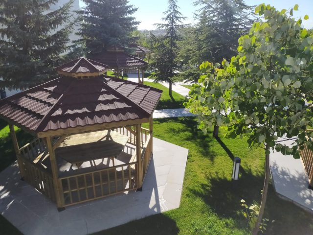Ahşap Kamelya