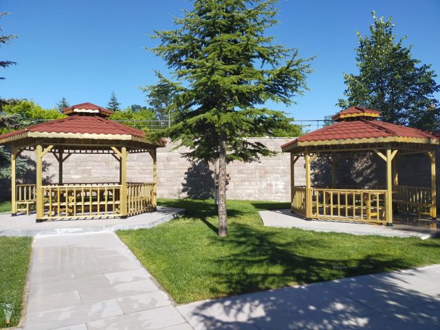 Ahşap Kamelya