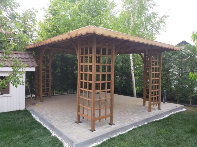 Ahşap Kamelya