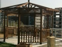 Ahşap Kamelya