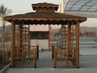 Ahşap Kamelya