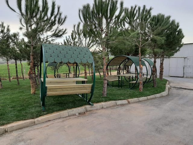 Ahşap Kamelya